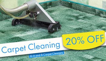 A and B Carpet Cleaners - Carpet andor Rug Cleaning Special