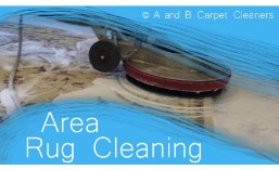 Area and Oriental Rug Cleaning