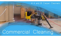 Commercial Services - Broadway Junction 11233