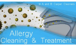 Allergy Control - Broadway Junction 11233