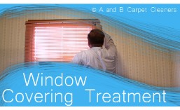 Window Covering Treatment